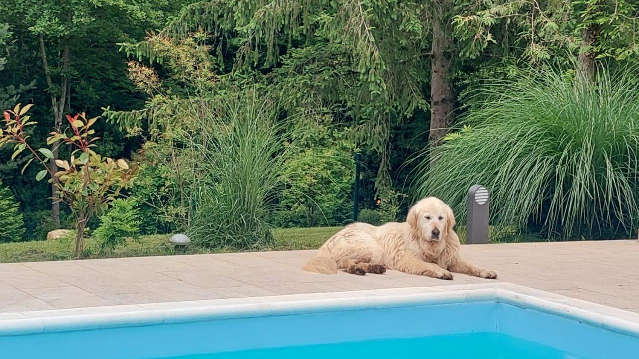 Villa Pampas Banja Luka Eksteriør bilde